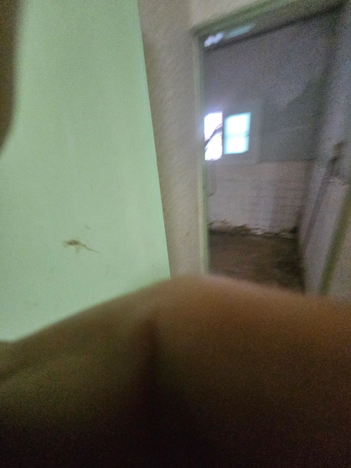 경상북도 울진군 유품정리 안내 | 24시간클린 현장 작업 사진 2