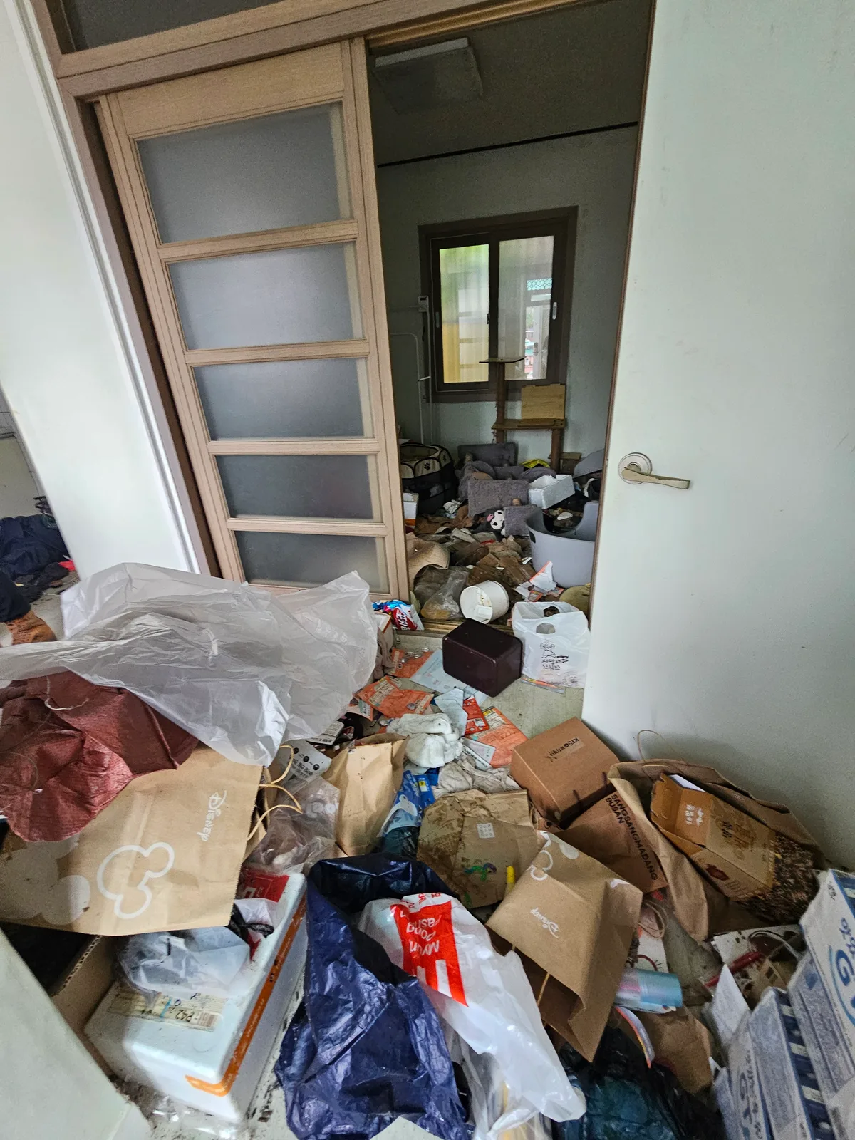 충청북도 영동군 고독사 현장 정리, 반출·세척은 어떻게 진행될까? | 24시간클린 현장 작업 사진 2
